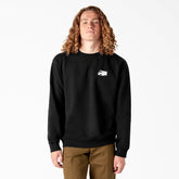Dickies Skateboarding Pool Drainage Graphic Sweatshirt