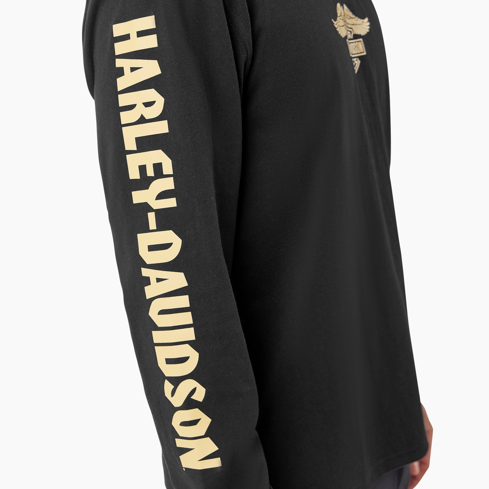 Dickies x Harley-Davidson Heavyweight Long Sleeve Eagle Tee