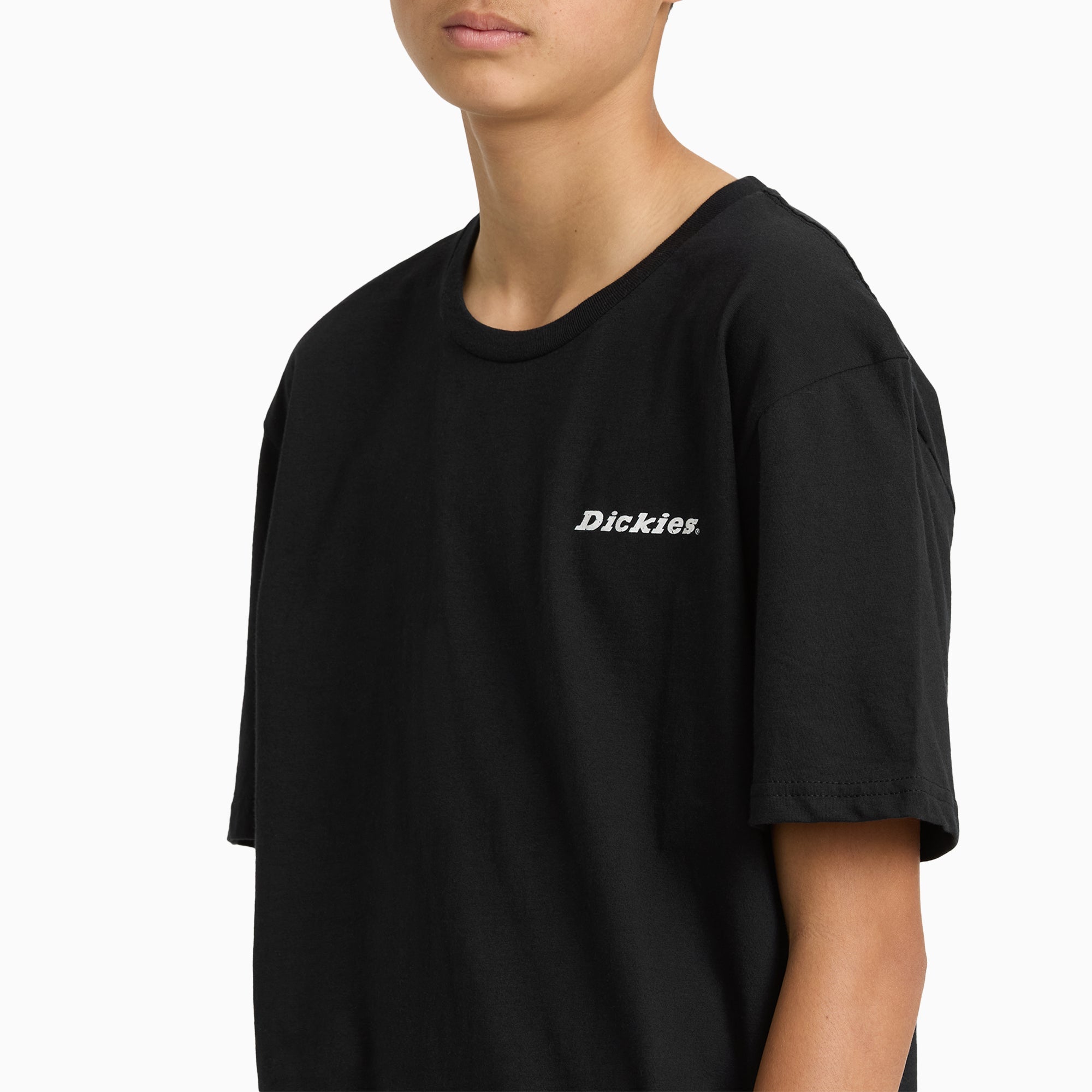 Americana Shield Short Sleeve Graphic T-Shirt