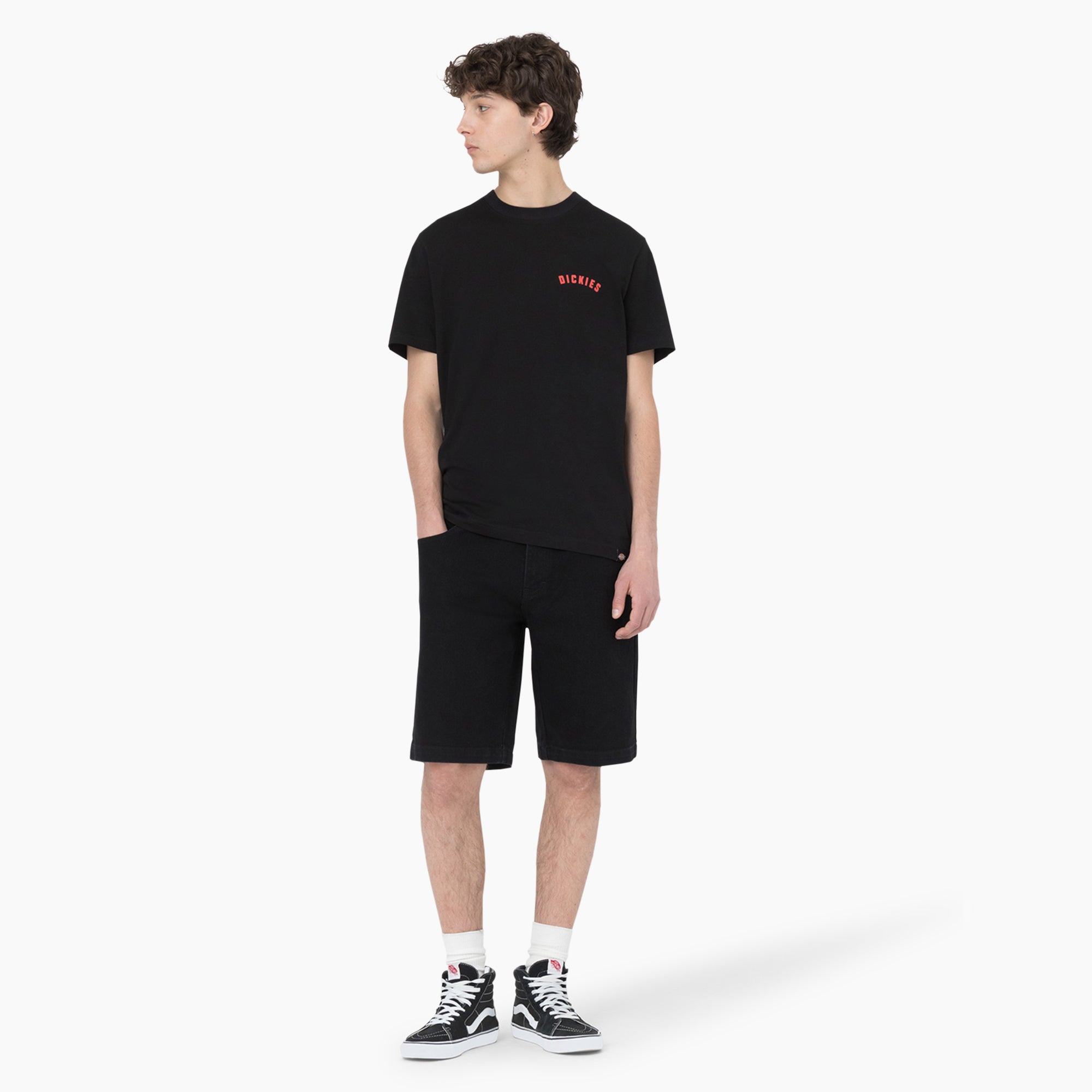 Dickies Skateboarding Loose Fit Wingville Shorts, 11"